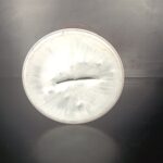 SHELL X-100 Motor Oil Öldose Öl Dose Ölkanne – Bild 5