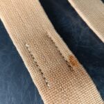 Wehrmacht Web Koppelreinem 90cm – Bild 5